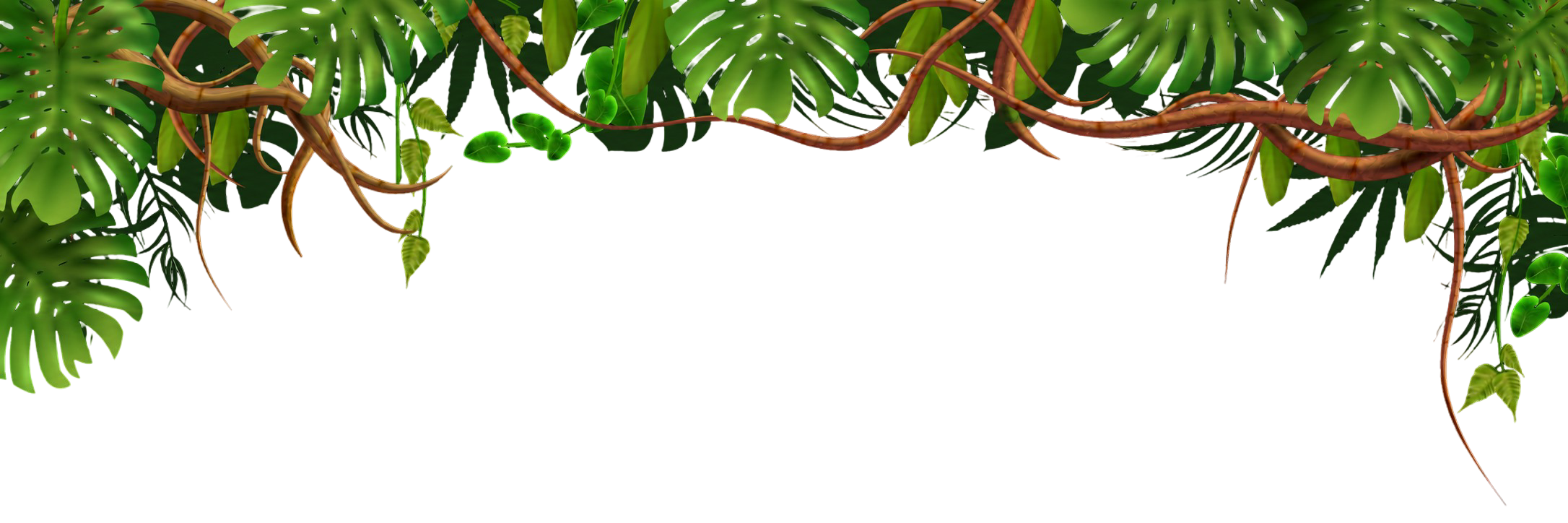 Jungle vine canopy