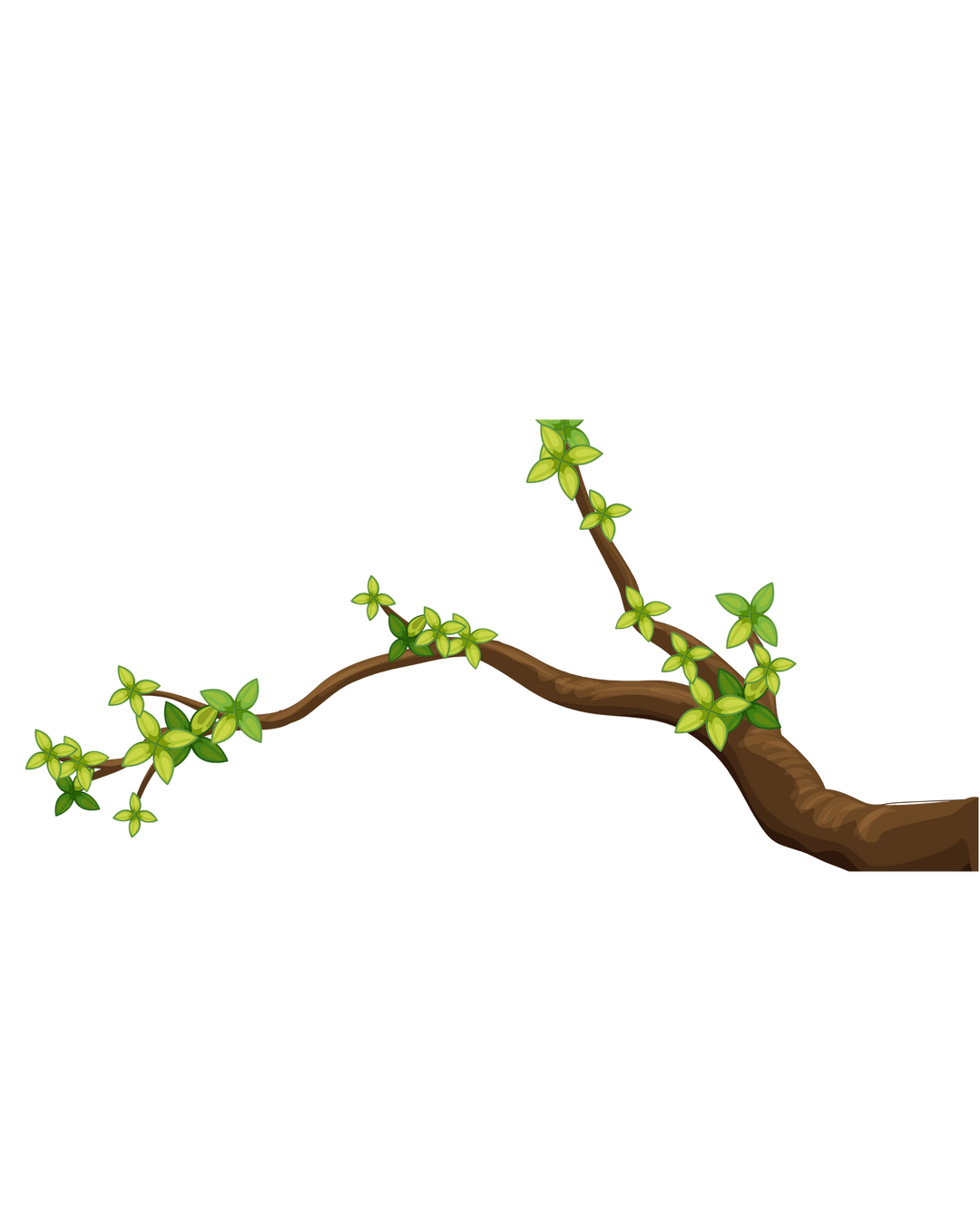 Jungle branch